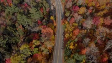 New Hampshire 'daki Kancamagus Otoyolu' nun İnanılmaz Manzarası Çeviri: