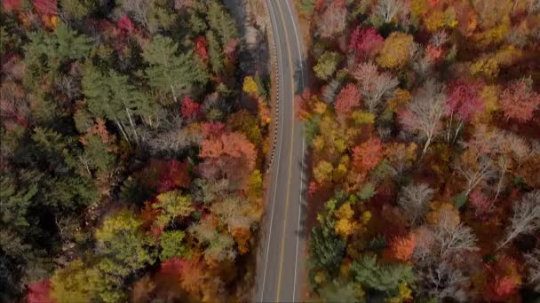 新罕布什尔州坎卡马格斯公路的奇景 — 图库视频影像