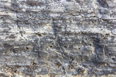 Küçük delikleri ve çatlak doku arkaplanı olan kirli gri beton duvar.