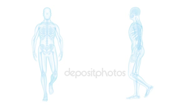 X-ray chodící muž — Stock video