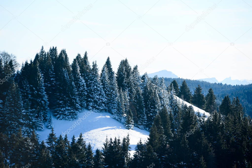 beautiful snowy mountain french alps winter panoramic landscape with a fir forest view background