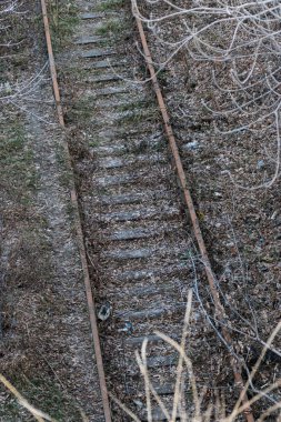 top view of old railroad tracks covered with old foliage and snowy hoarfrost