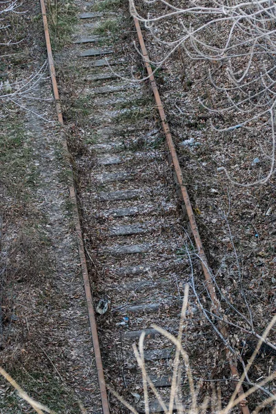 Κορυφαία Άποψη Των Παλαιών Σιδηροδρομικών Γραμμών Που Καλύπτονται Παλιά Φυλλώματα — Φωτογραφία Αρχείου