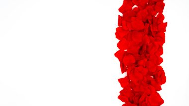 Beyaz arka planda kırmızı gül yapraklarının yolu. Sevgililer Günü.