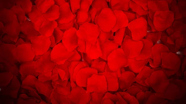 A large amount of red rose petals from above. Valentine\'s Day