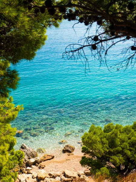 Shot from behind the bushes to the beach with transparent clean blue water