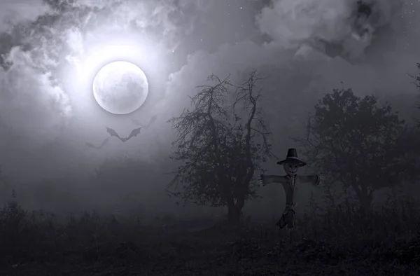 Jardin Mystique Brumeux Nocturne Épouvantail Sur Fond Pleine Lune — Photo