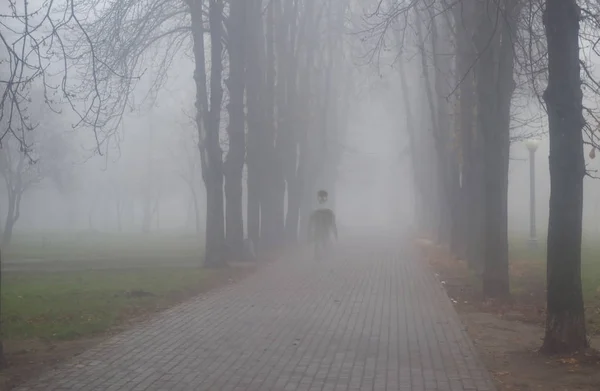 Sisli Bir Şehir Parkında Ürkütücü Bir Hayalet — Stok fotoğraf