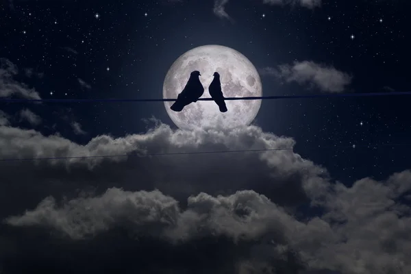 Romantik entrika, dolunayda güvercinleri sevmek