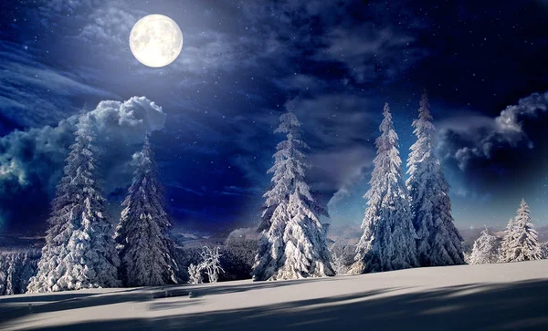 Fairy Spruce Trees Winter Hills Full Moon — Stock Photo, Image