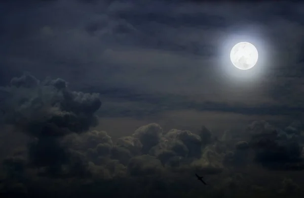 Full Moon Clouds Night Sky — Stock Photo, Image