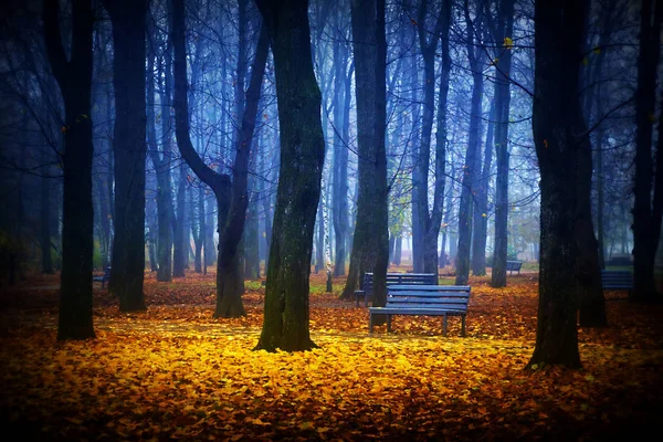 Sonbahar parkında puslu bir sabah