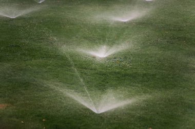 Çimlerin otomatik sulanması. Manzara. Bitki örtüsüne mekanize su kaynağı. Çim ve bahçe bakımı.