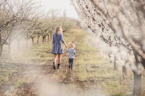 Een Charmante Moeder Loopt Met Haar Zoon Bloeiende Tuinen Moederschap — Stockfoto