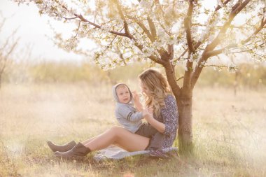 Genç kıvırcık saçlı anne, küçük oğluna sarılıyor, yeşil çimlerin üzerinde, çiçek açan beyaz kiraz ağacının yanında oturuyor. Aile gezintisi. Hafta sonu şehir dışında dinlenme. Kadın oğlanla neşeyle oynuyor.