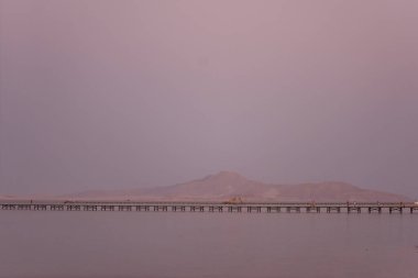 Tatildeki egzotik ülkelerin inanılmaz doğası. Sınır tanımadan seyahat etmek. Gün batımında palmiye ağaçları.
