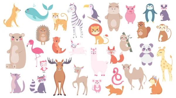 Color Vector Animals Illustration — Stock Vector