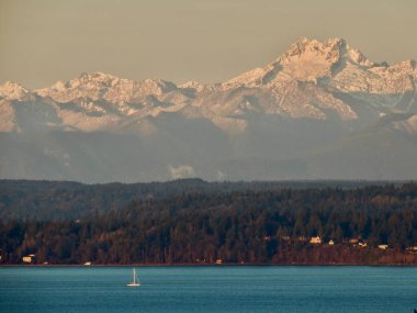 Puget Sound 'daki yelkenli bir kış sabahı karlı olimpiyat sıradağları tarafından destekleniyor..