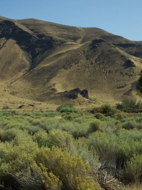 Washington 'un doğusundaki Burkett Gölü yakınlarındaki Burkett Gölü Rekreasyon Bölgesi' nde bir eylül günü ön planda çalı olan Grassy tepeleri.