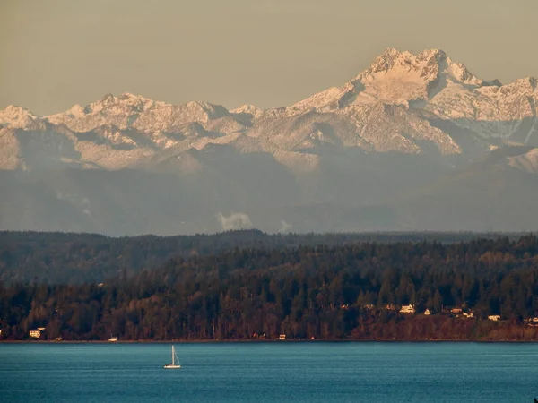 Segelbåt Puget Sound Vintermorgon Backas Upp Den Snöiga Olympic Mountain — Stockfoto
