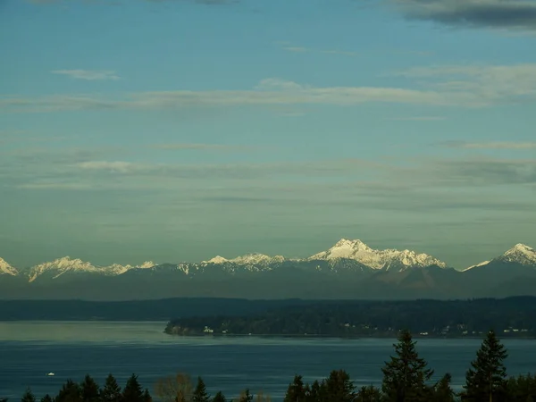 Puget Sound, Point Jefferson ve Olimpiyat Dağı 'nın karlı zirveleri Seattle yakınlarındaki Shoreline, Washington' dan alındı..