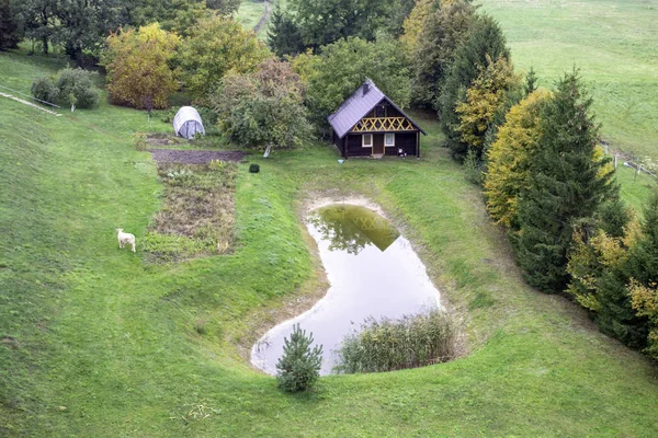 Wooden house in nature in the field. Country house with cow grazing in front and rectangular pond. Top view.
