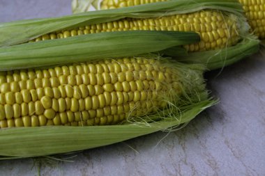 Masanın üzerinde bir mısır kulağı yatıyor. Yapraklı taze mısır.