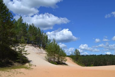 Kum madenciliği. Endüstri kariyeri. Ormandaki eski taş ocağı