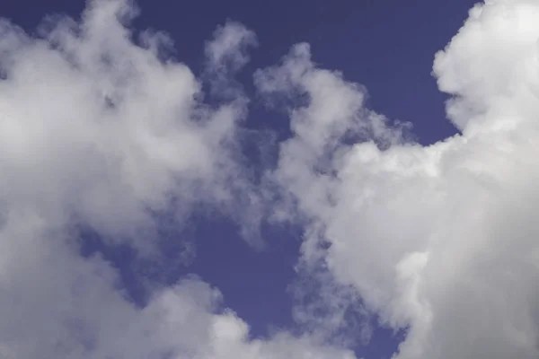 구름을 배경으로 날푸른 — 스톡 사진