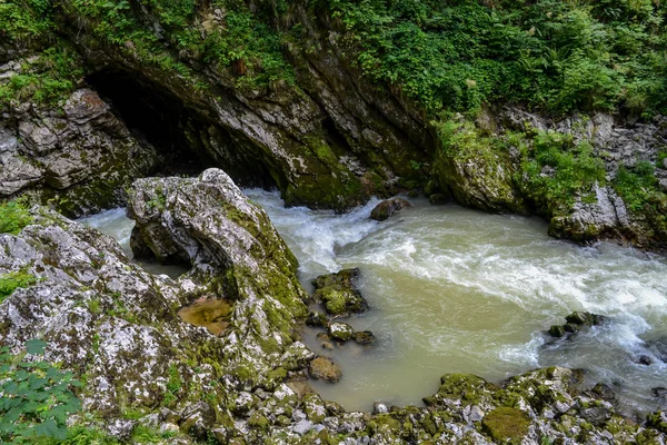 Бурхлива Гірська Річка Скелястий Берег Лісова Долина — стокове фото