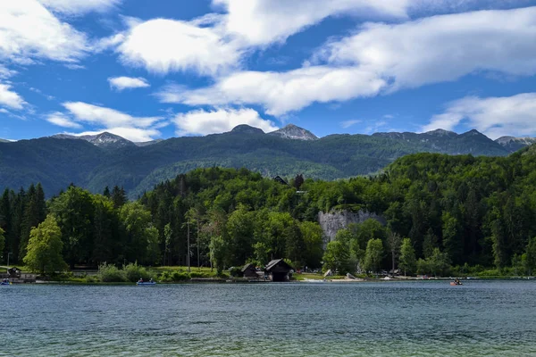 Wildlife Mountain Lake Sunny Day — Stockfoto