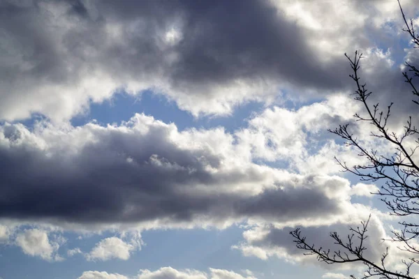 右側の枝を持つ青い空に灰色の白い雲 春の日 美しい自然背景 — ストック写真