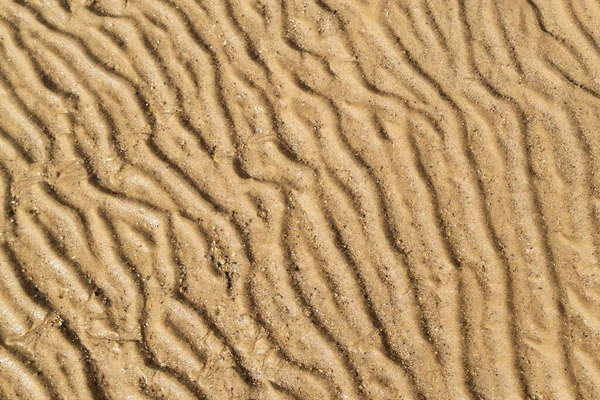 추상적 패턴으로 모래를 휘감으세요 모래의 — 스톡 사진