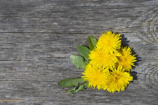 Five Yellow Dandelion Leaves Lies Corner Wooden Surface Place Text — Stock Photo, Image