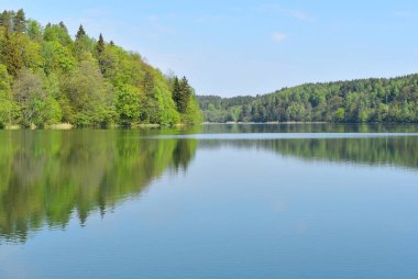 Güneşli bir günde mavi gökyüzünün altında sakin bir orman gölü..