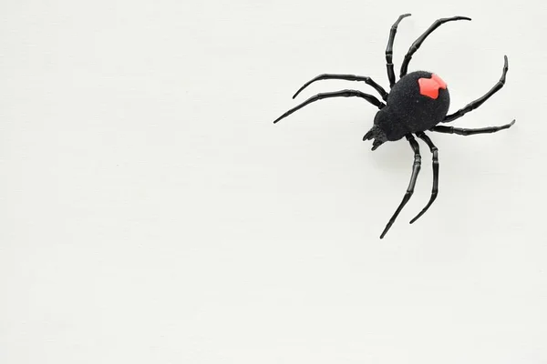 Fond Blanc Minimal Avec Araignée Jouet Noire Cadre Halloween Simple — Photo