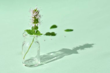 Alternatif bitkisel tıp, fizyoterapi konsepti, boş küçük şişeye yakından bakmak ve gölgeli taze nane şekeri.