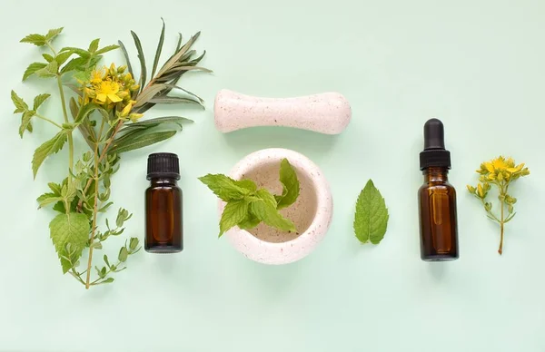 Alternative Herbal Medicine Concept Phytotherapy Essential Oils Extracts Fresh Herbs — 스톡 사진