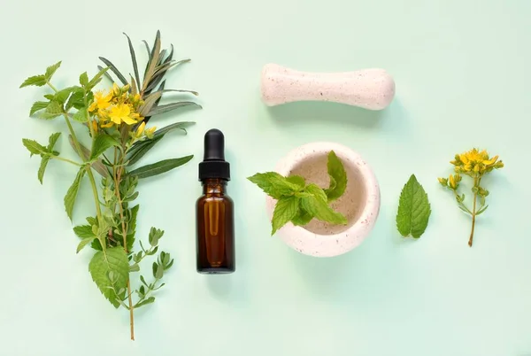 Concepto Alternativo Medicina Herbal Fitoterapia Aceites Esenciales Extractos Hierbas Frescas — Foto de Stock