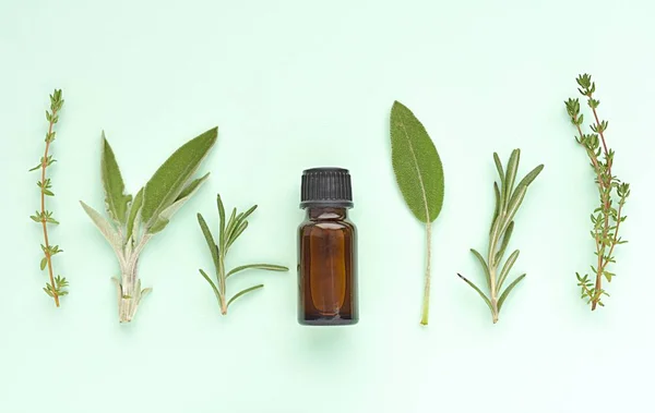 Herb Oils Close Shot — 스톡 사진