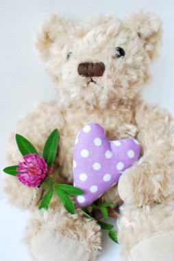 Beyaz arka planda oturan sevimli yumuşak oyuncak ayı ve mor kalp ve yonca çiçeği, metin için yer.