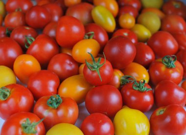 Taze kırmızı, turuncu ve sarı domates yığını, seçici odak.