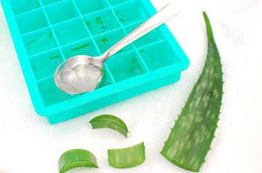 Buz küpü tepsisi donmak için aloe vera bitki jeliyle dolu..