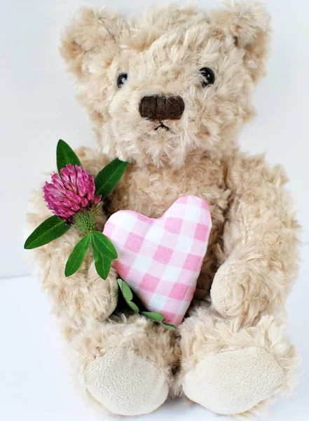 Lindo Oso Peluche Juguete Suave Sentado Sobre Fondo Blanco Sosteniendo —  Fotos de Stock