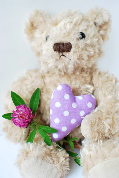 Niedliche Stofftier Teddybär Sitzt Auf Weißem Hintergrund Und Hält Lila — Stockfoto