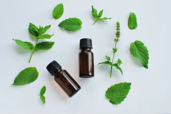 Essential Oil Peppermint Brown Bottles Fresh Peppermint Leaves White Background — 스톡 사진