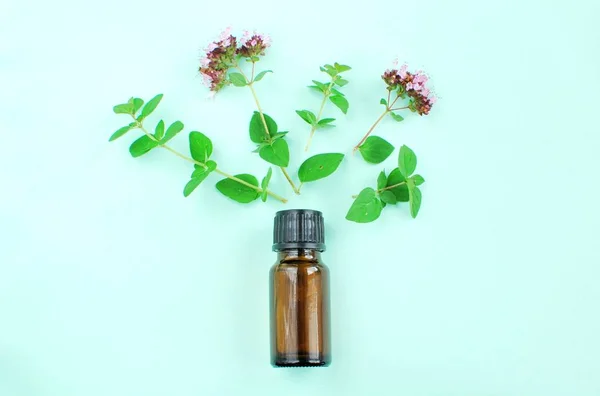 Brown Bottle Essential Oil Fresh Herbs — 스톡 사진