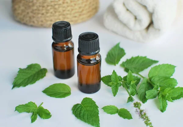 Peppermint Essential Oil Brown Bottles Spa Stones White Towels — 스톡 사진