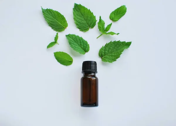 Peppermint Essential Oil Bottle Mock Peppermint Leaves Flat Lay White — 스톡 사진