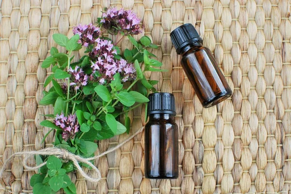 Brown Bottles Essential Oil Fresh Herbs — 스톡 사진